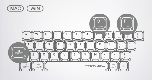 Operating System Swap